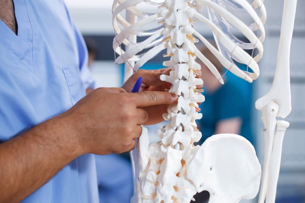 Lendenwirbelsäule Problemzone Nummer Eins